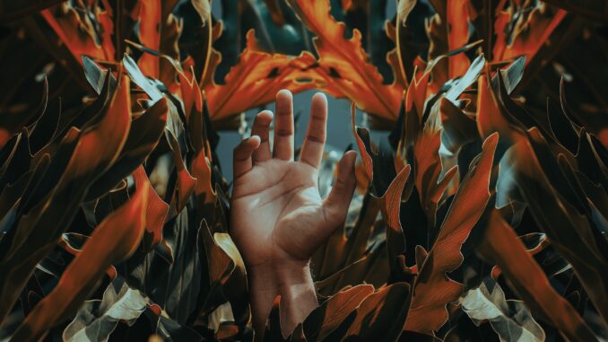 Lifecare Login Lifecare Login