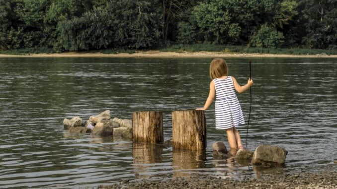 Lifecare Login Lifecare Login